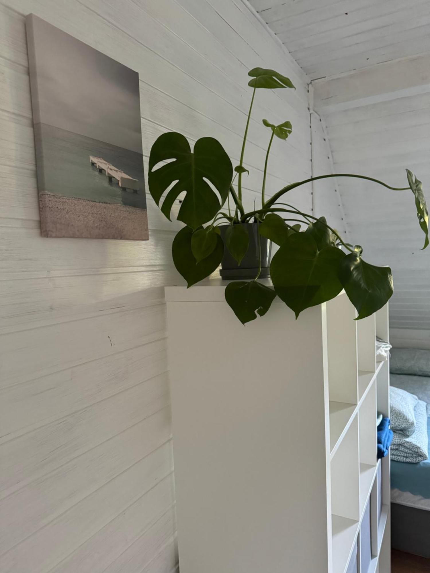 48C Domki letniskowe i apartament Pobierowo Zewnętrze zdjęcie