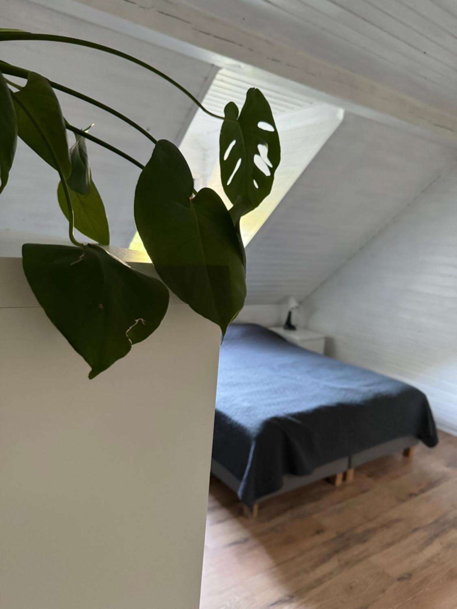 48C Domki letniskowe i apartament Pobierowo Zewnętrze zdjęcie